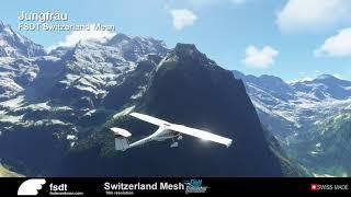 Fsdreamteam Switzerland Mesh Trailer