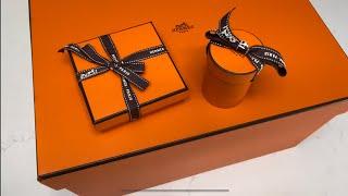 Hermes Unboxing! Bag, Twilly and Bracelet - watch to see what they are! 🫣