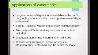 PDF Digital Watermark Investigation