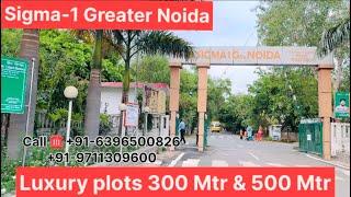 Sigma-1 Greater Noida Luxury Plots 300Mtr/500Mtr Luxury Plots For Sale In GreaterNoida Authority