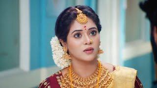 Sandhya Raagam Serial Today Episode 2 November 2024 | Zee Tamil