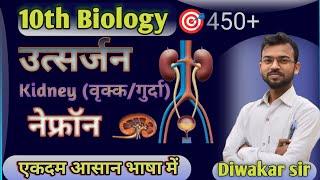 10th Biology Chapter 4 ||उत्सर्जन | kidney वृक्क का सचित्र | नेफ्रॉन सचित्र #by dkrsir