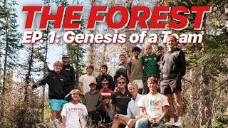 Stanford XC does 16 Miles 5:55, 5500ft altitude // THE FOREST EP1 : Genesis of a Team