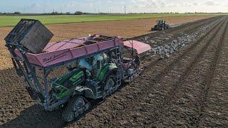 *NEW* Deutz-Fahr team planting tulip bulbs | Agrotron 6230 & 8280 TTV Warrior | Borst Tulips