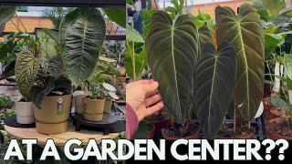 Garden centers are popping this spring | Plant with Roos