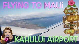 FLYING TO MAUI, HAWAII: EVERYTHING YOU NEED TO KNOW