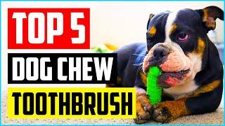 Top 5 Best Dog Chew Toothbrush with Toothpaste of 2021 Review