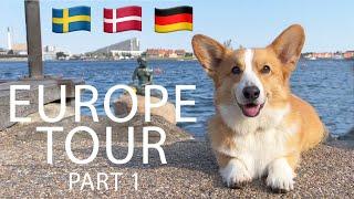 EUROPE ADVENTURE (1/3) - Topi the Corgi