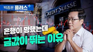 미국 은행이 망했는데 금값이 뛰는 이유 (박종훈 플러스 2부)