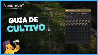 Black Desert - Guia de Cultivo 100% atualizado! Alquimia, culinária, t10 e mais...