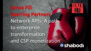 Sparring Partners | Network APIs with Harpreet Geekee at Shabodi