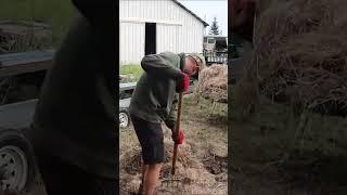 Cleaning up around the Woodland Mill with Weed Eater