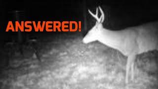 Deer Hunting Camp 2022 {Dead or Alive?} ~ANSWERED