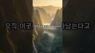 “재난이 일어나면 이곳으로 피하세요” 예언서 정감록 #역사 #역사이야기 #역사쇼츠 #예언 #재난 #정감록