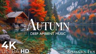 Autumn 4K - 12 Hours of Deep Relaxing Music | Relaxation Film | Nature Video Ultra HD