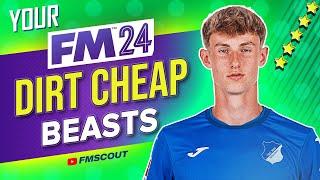 The BEST Cheap BEASTS To Sign In FM24 VOTED By You | Football Manager 2024 Best Players