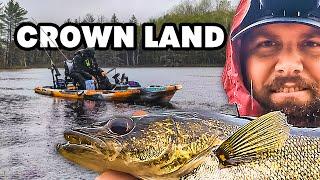 Post-spawn Walleye Catch & Cook with Average Ontario Anglers