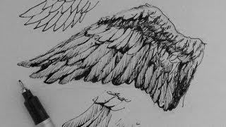 Pen & Ink Drawing Tutorials | How to draw wings