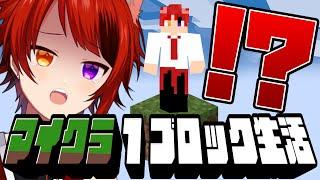 【限定生放送！】崖っぷち！１ブロックしかない世界でサバイバル！？【minecraft】