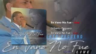 Gilberto Peguero - En Vano No Fue (Live)