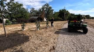 Unloading a Bunch of New Perennials & Planting Hibiscus!   // Garden Answer