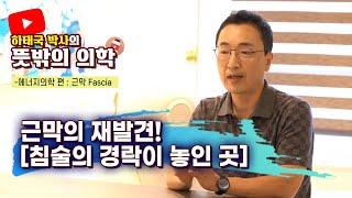 하태국 박사의 뜻밖의 의학 침술의 깊은 내면을 살펴보자! 경락, 근막, 에너지의 관계!