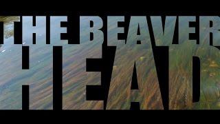 Epic Montana Trout Rivers - THE BEAVERHEAD