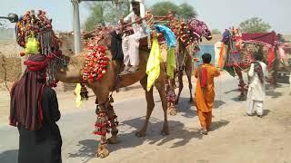 Jamat Baba Muhammad panah Kambir sharif sahiwal/Ramzan Qasim Fans