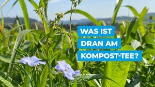 Was ist dran am Kompost-Tee?