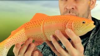 Savage Gear  ** 40CM Line Thru Trout **