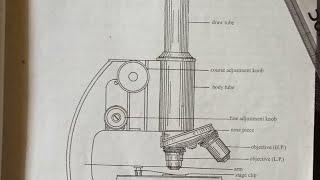 simple drawing of compound microscope || how to draw compound microscope ||