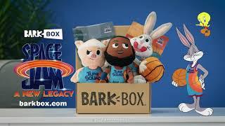 Introducing The Space Jam BarkBox - July Dog Toy Theme Announcement!