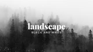 TV ART | Black & White Landscape: 4K Screensaver for TV Frame | 3HOUR/NO SOUND #blackandwhite