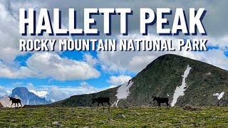 Hallett Peak - Perfect Day Hike in Rocky Mountain National Park