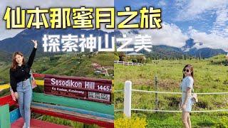 亚庇昆达山蜜月旅行 入住玻璃水晶球小屋  欣赏神山之美 探索小纽西兰农场 Desa Dairy Farm Kundasang KotaKinabalu Vlog 【马来西亚 沙巴EP2】