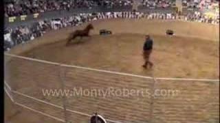 Monty Roberts and Lauki, Icelandic horse