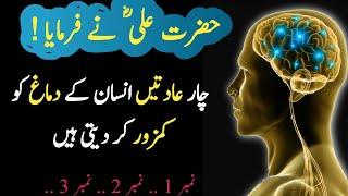 4 aadat insan k  ko kamzor karte hai || farman hazrat ali || quotes hazrat ali urdu