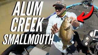 Alum Creek OHIO Bass Fishing (Finding the WINNING Fish)