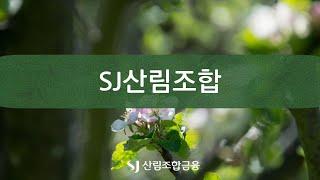 [준콤] SJ산림조합_TV가로자막광고 (2024)