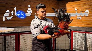 پرنده های مینی فارم رسیدن  صفر تا صد پر کردن قفس ها