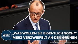 FRIEDRICH MERZ: "Was wollen sie eigentlich noch mehr?" Verzweifelte Worte Richtung Grüne