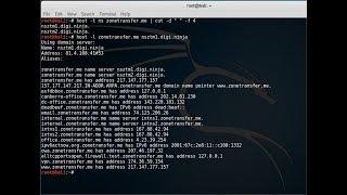 DNS Overview and Zone Transfers Step by Step tutorial with kali Linux