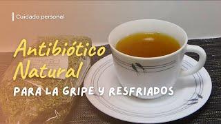 #RemediosCaseros | Antibiótico NATURAL especial para GRIPE Y RESFRIADOS