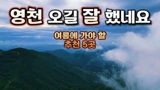 여름에 가기 좋은 영천 5곳 추천 ㅣ 무료물놀이장 ㅣ 차로 해발 1,100m정상까지 ㅣ 청정계곡