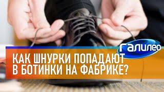 Галилео  Как шнурки попадают в ботинки на фабрике?