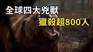 全球四大兇獸，食人成性，累計獵殺超800人！ #nature #wildlife #animal