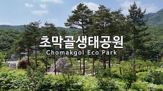 [4K] 군포 초막골생태공원(Chomakgol Eco Park) - 드론 영상