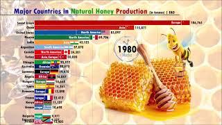 Honey Production by country (1960-2019) | FAO