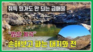 밀양 토지 매매 -매물1,027번(취득원가도 안 되는 급매물.  맑은 계곡 옆 손해보고 파는 대지와 전)