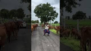 gamda ni moj | |गांव का मजा#reels #viralvideo #maldari #nature #shortvideo #shorts #trending #reels